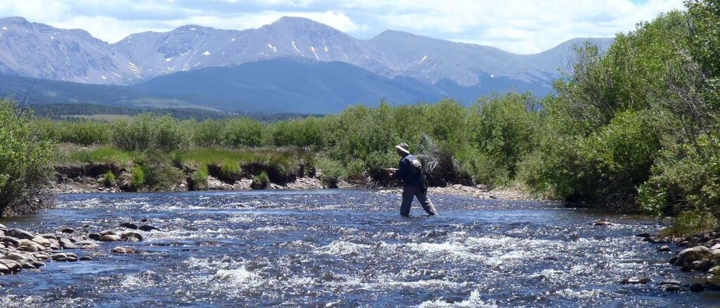 Mountain Stream, Colorful Colorado