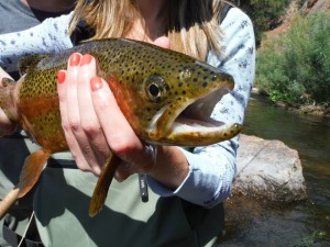 Client Steph with a Pretty Rainbow