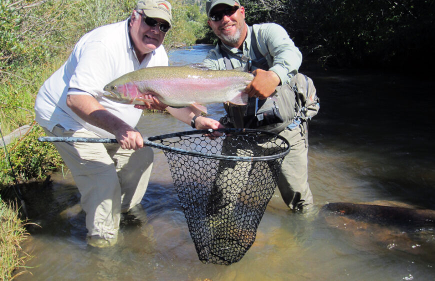 HUGE RAINBOW TROUT