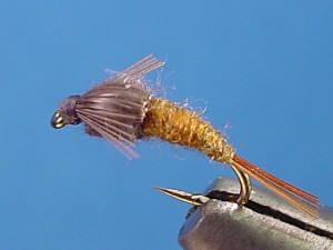 Barr Emerger