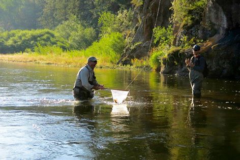 Nettiing Fish