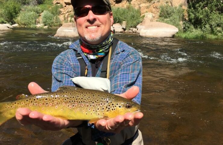 Mark with nice Cheesman Brown