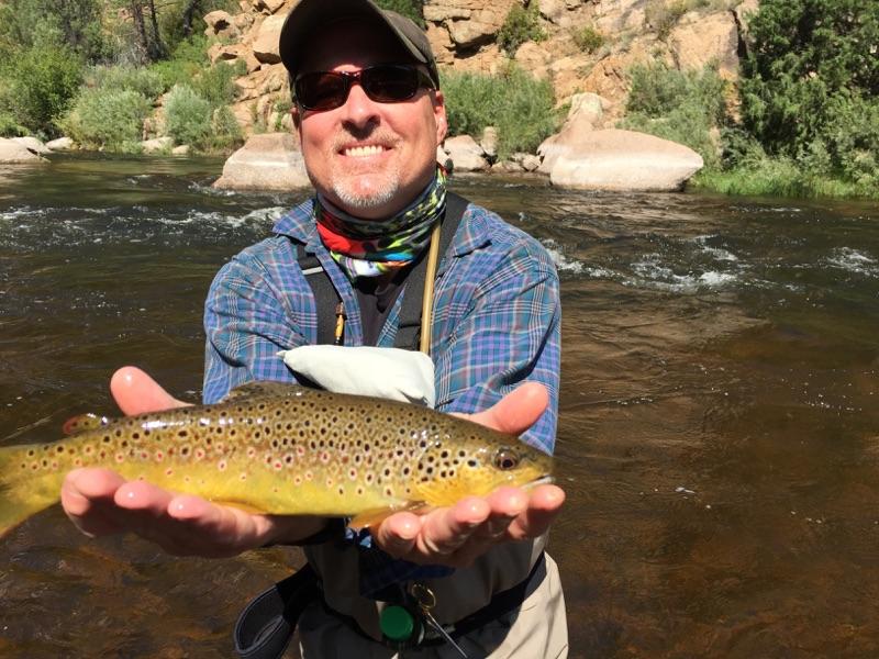 Mark with nice Cheesman Brown