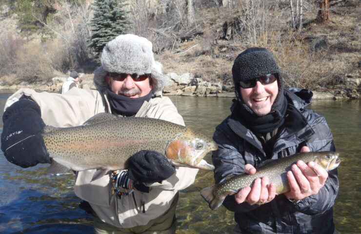 Fish Boxwood Gulch