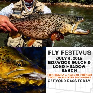 Colorado Fly Fishing - Fly Festivus