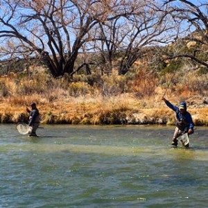 Tenkara Double