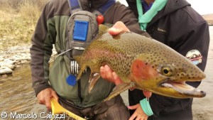 Colorado Fishing Guide, Marcelo