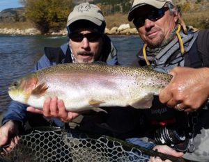 Boxwood Gulch Trout