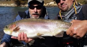 Boxwood Gulch Trout