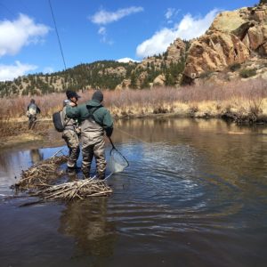 Tarryall Creek Fly Fishing Trip