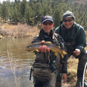 Williams Ranch Brown Trout