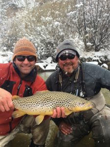 Boxwood Gulch Brown Trout