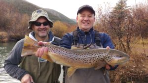 Big Brown Trout - Runoff Season