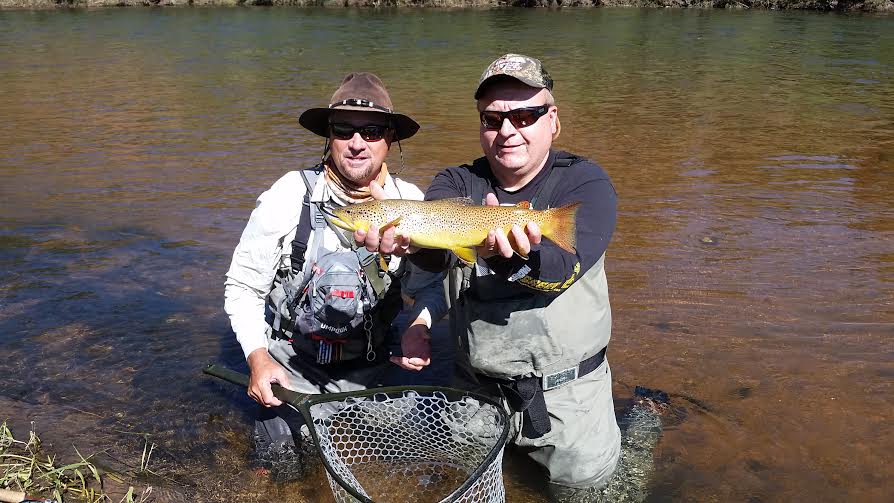 Deckers brown trout