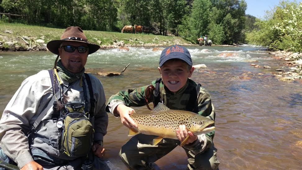 Colorado Brown Trout