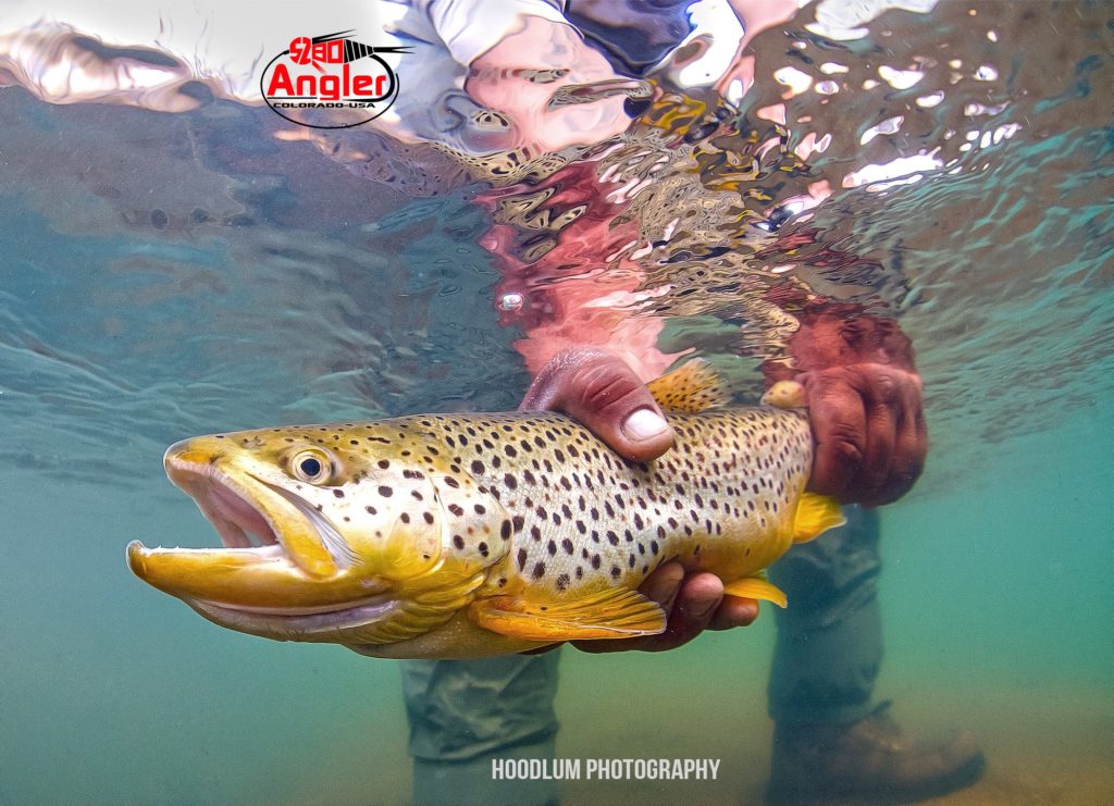 Colorado Fly Fishing Guides - 5280 Angler