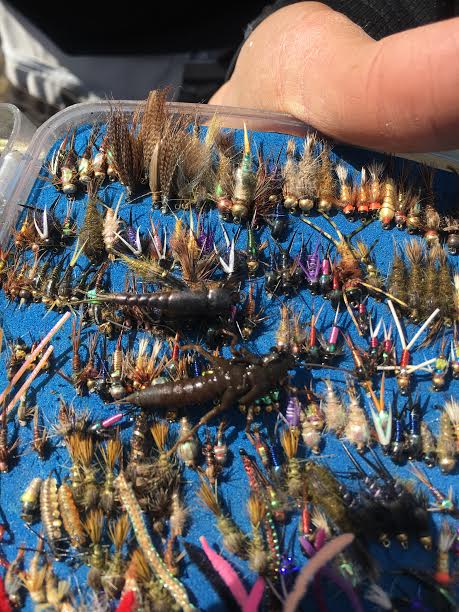 entomology for the fly fisherman