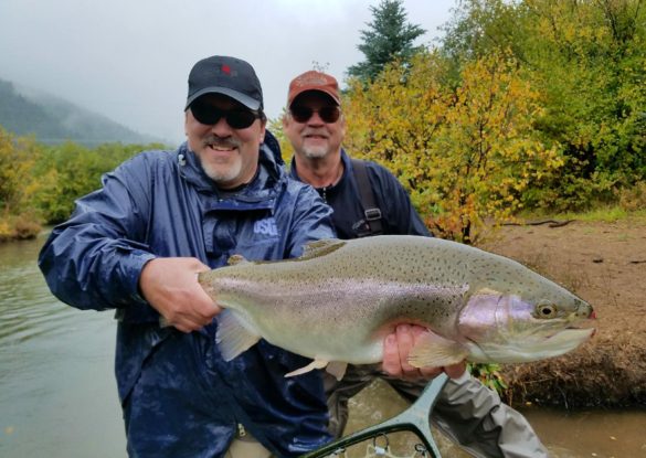 Boxwood Gulch Piggy