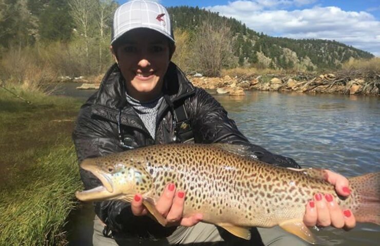 Boxwood Gulch Brown Trout, The Coutre Fly, Fly Gal Friday, Fly Gal Blog