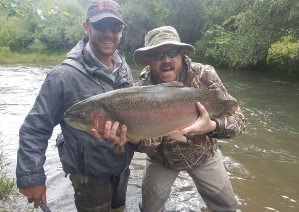 Fly Fishing Colorado Boxwood Gulch