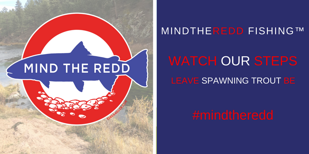 MIND THE REDD