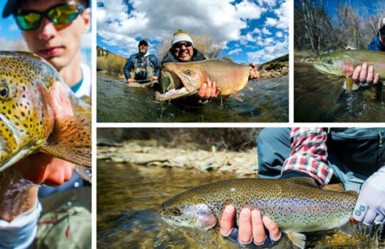 Tenkara Clinic at Long Meadow Ranch