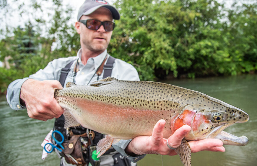 Boxwood Gulch Fly Fishing Guide