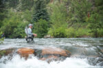 Boxwood Gulch Ranch 1/2 Day Guide Trip Certificate