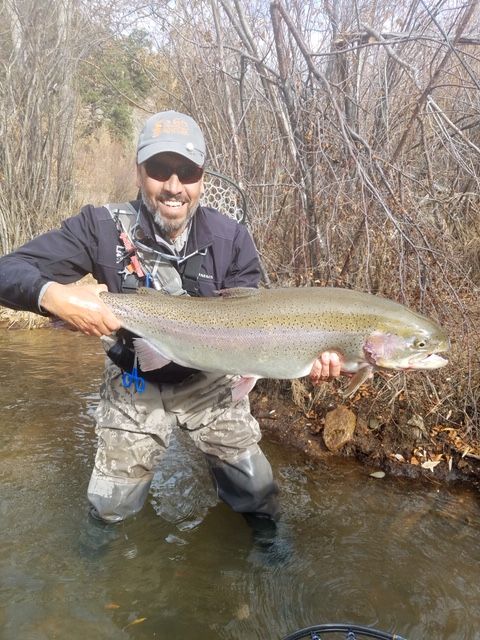 Big Boxwood Gulch Fish