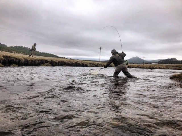 Bent rod at Abell Ranch