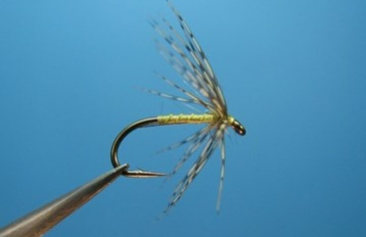 Soft Hackle Wet Fly