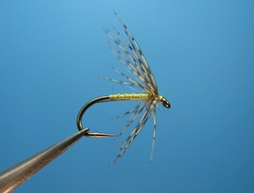 Soft Hackle Wet Fly